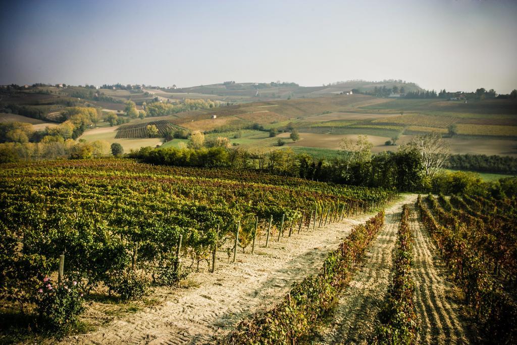 Naturalmente Wine Resort Agliano Terme Exterior photo